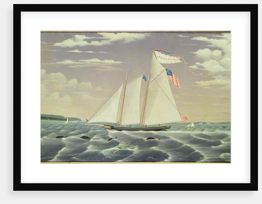 Schooner 'Lewis R. Mackey', 1854 by James Bard