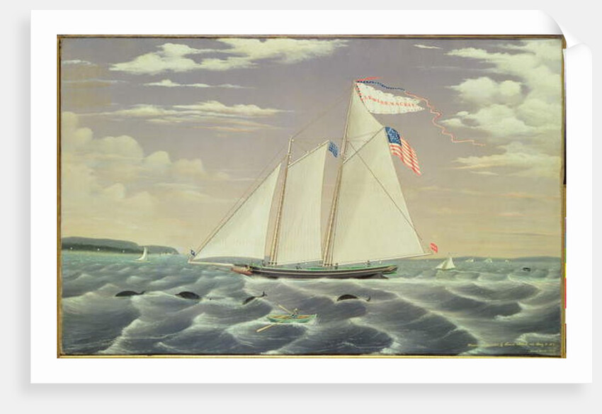 Schooner 'Lewis R. Mackey', 1854 by James Bard
