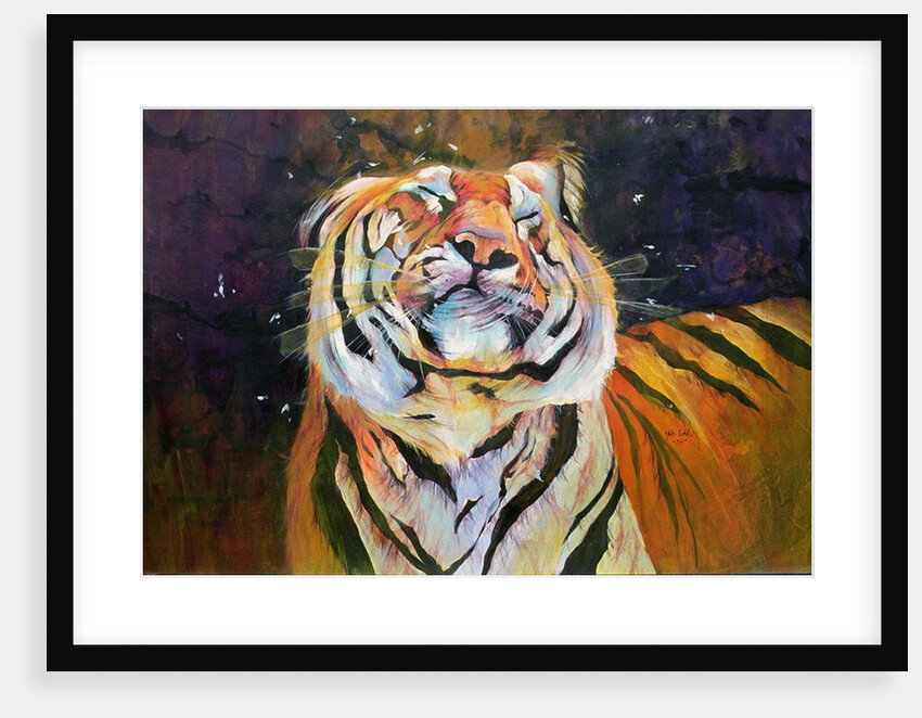 Tiger 1996 by Odile Kidd