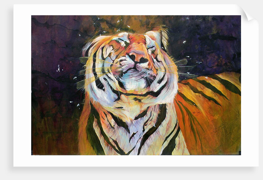 Tiger 1996 by Odile Kidd