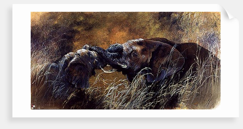 Bundu, 1998 by Odile Kidd