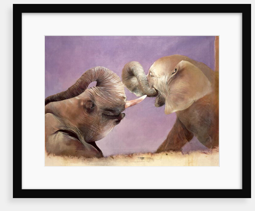 Elephants at Play, 2001 by Odile Kidd