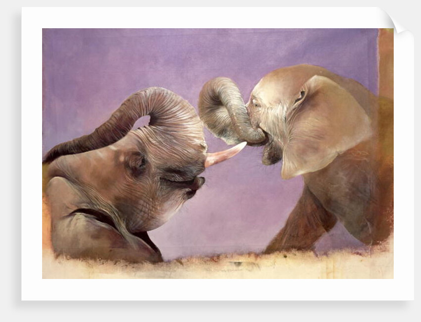 Elephants at Play, 2001 by Odile Kidd