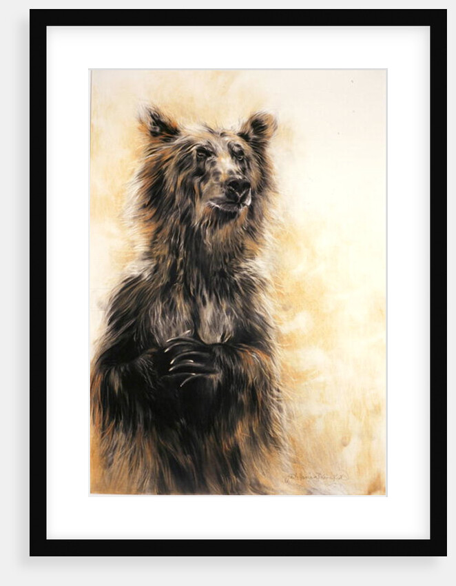 Grizzly Bear 1, 2002 by Odile Kidd