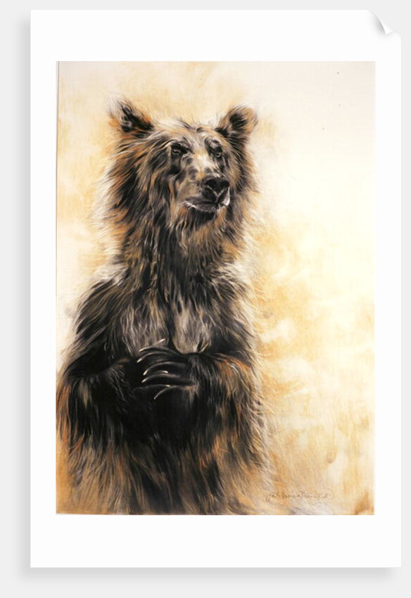 Grizzly Bear 1, 2002 by Odile Kidd