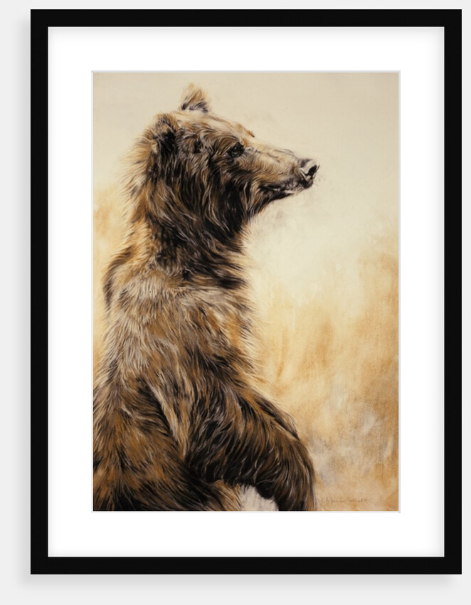 Grizzly Bear 2, 2002 by Odile Kidd