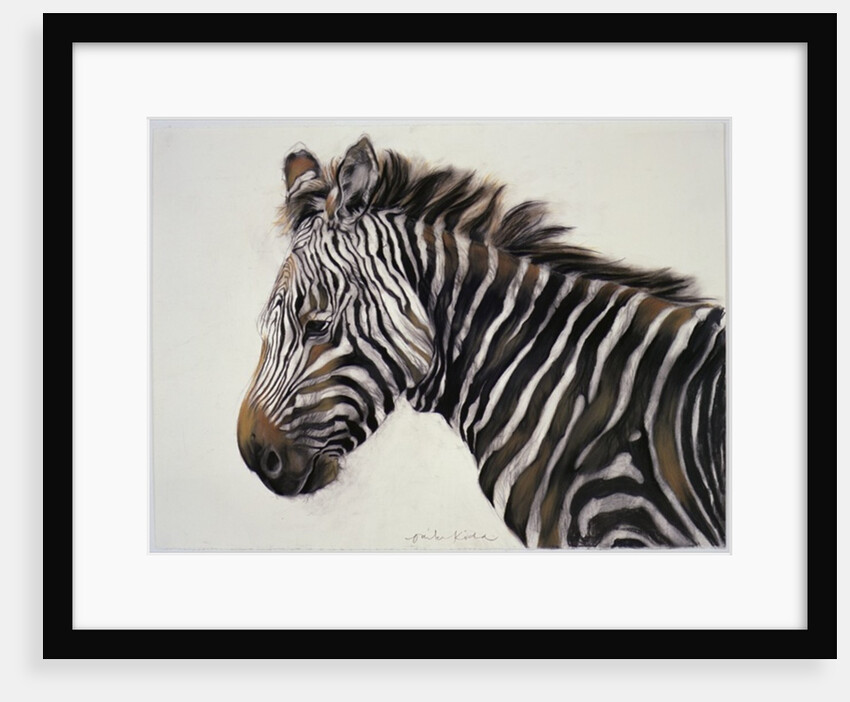 Zebra, 2002 by Odile Kidd