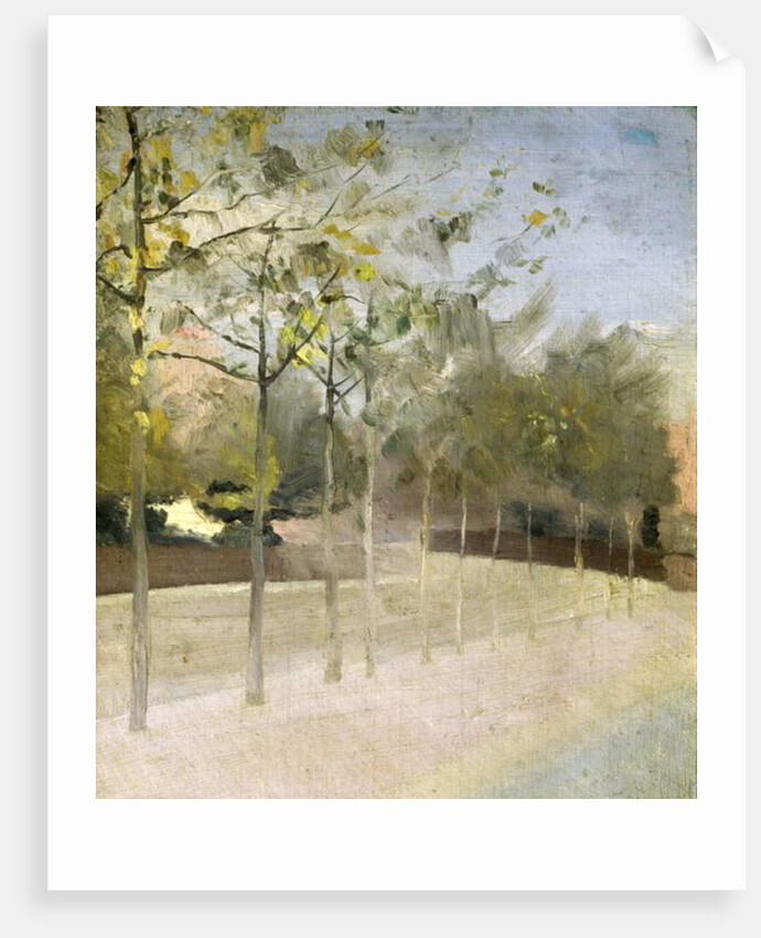 Chelsea Embankment, Plane Trees, 1908 by Paul Fordyce Maitland
