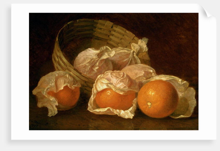 A Basket of Oranges, 1895 by Eloise Harriet Stannard