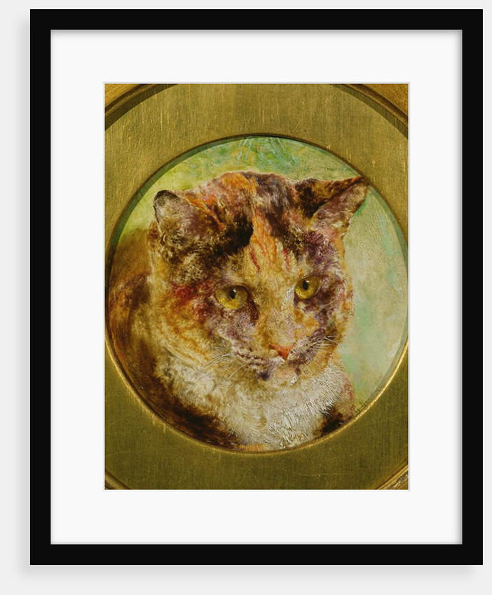 Study of a Tortoiseshell Cat by William Huggins