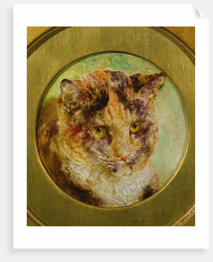 Study of a Tortoiseshell Cat by William Huggins