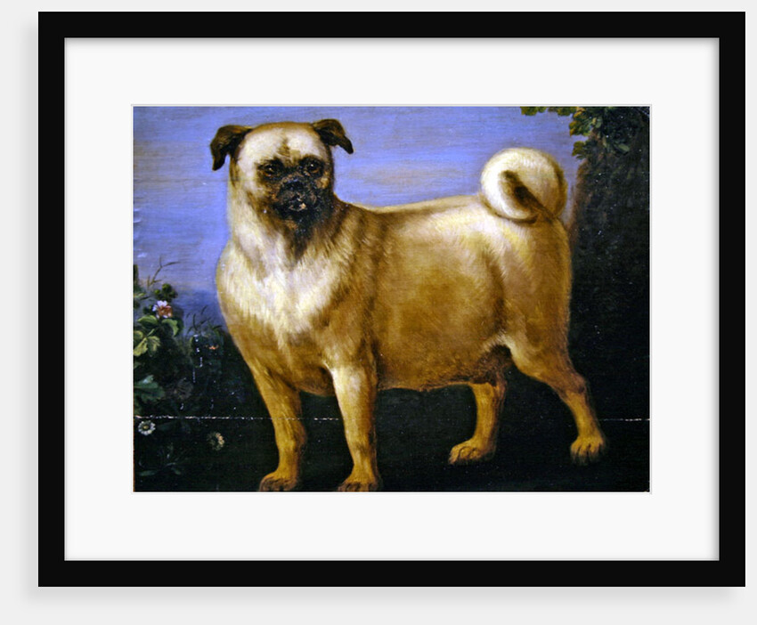 A Pug in a Landscape by John Wootton