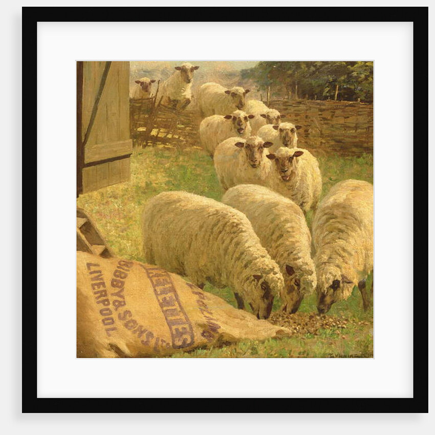 Sheep feeding from an upturned grain bag by William Gunning King