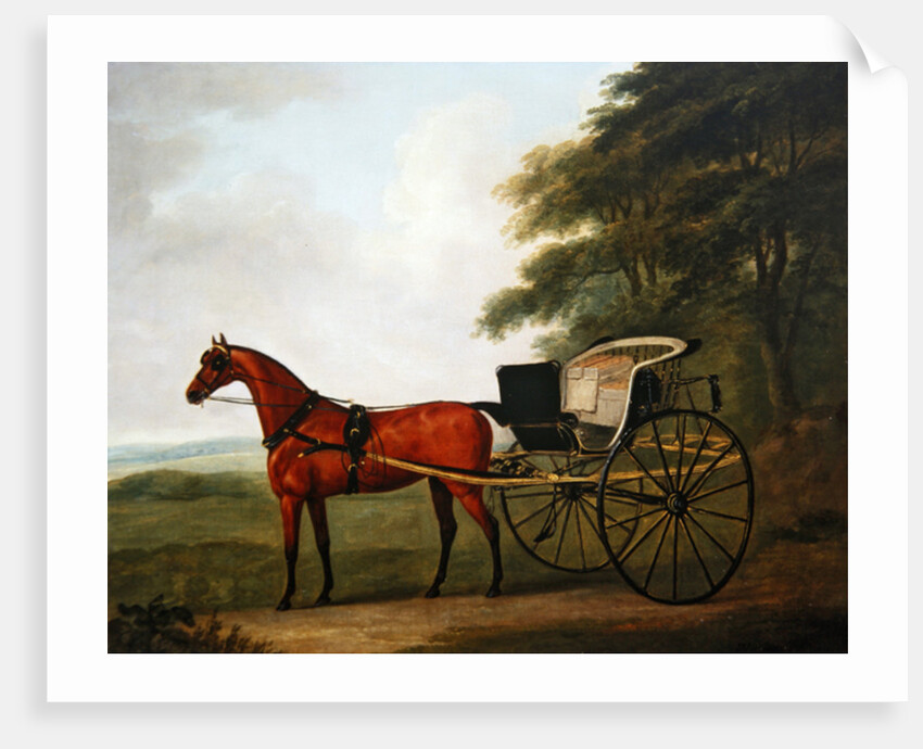 A Bay harnessed to a Tilbury by John Nost Sartorius