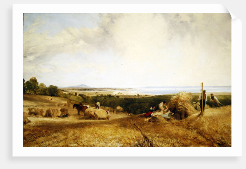 The Harvest Field, 1846 by Frederick Richard Lee