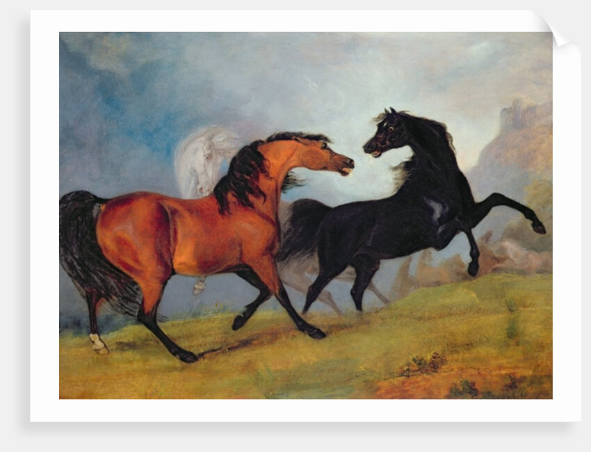 Horses fighting by Sawrey Gilpin