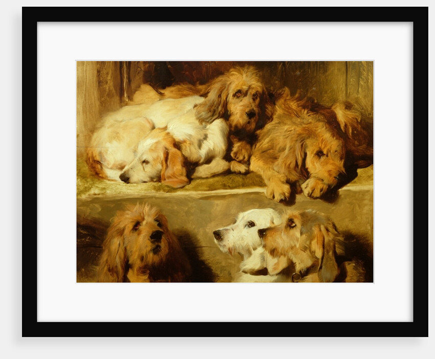 Hounds in a kennel by Edwin Landseer