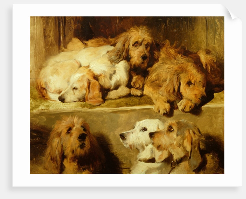 Hounds in a kennel by Edwin Landseer