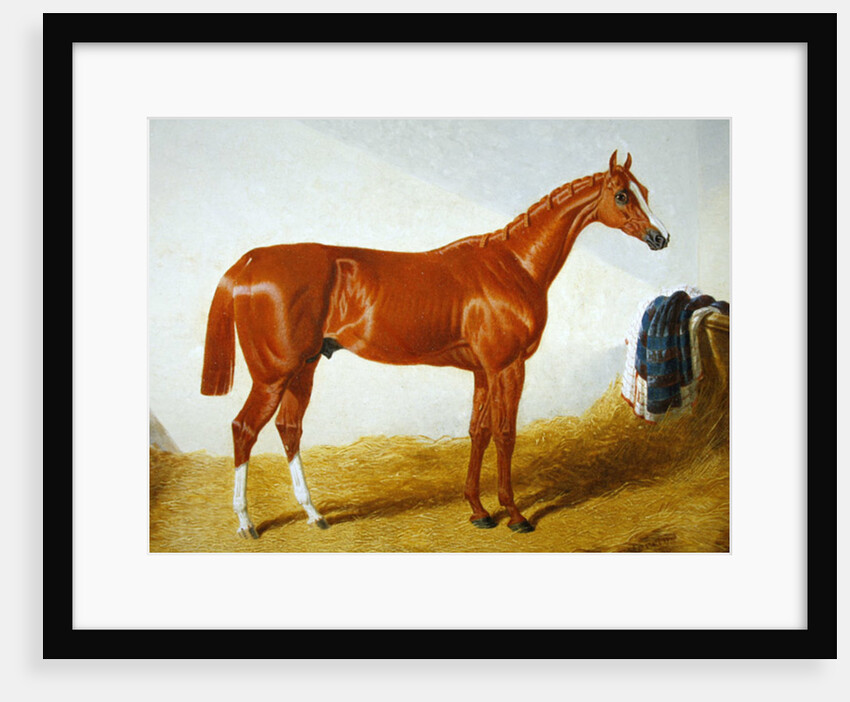 Elis, 1836 by John Frederick Herring Snr