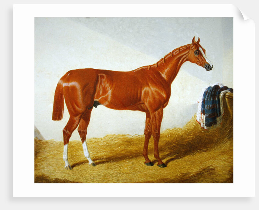 Elis, 1836 by John Frederick Herring Snr