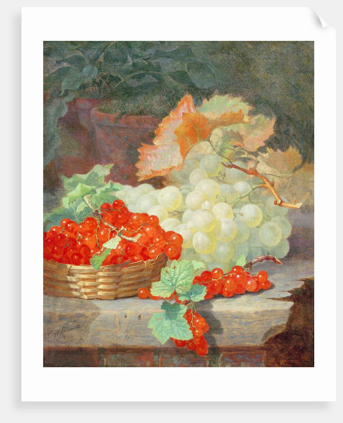 Redcurrants and Grapes, 1864 by Eloise Harriet Stannard