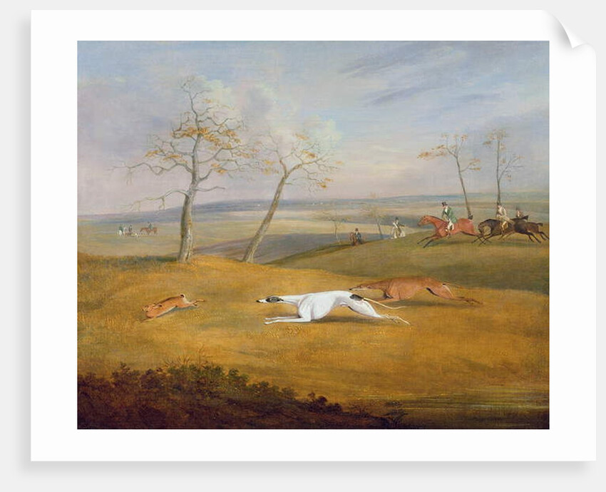 Coursing: the chase by Samuel Alken