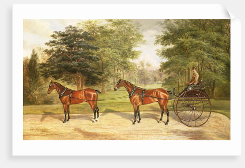 Two horses, harnessed in tandem, pulling a carriage, 1883 by Benjamin Cam Norton