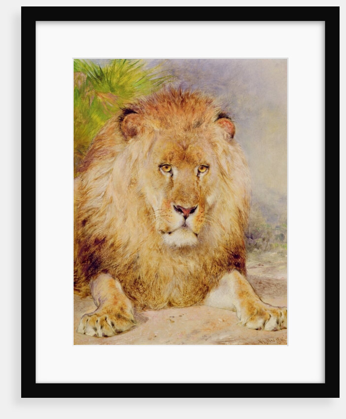 Lion by William Huggins