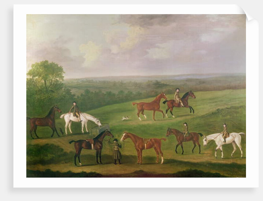 Horses at Exercise by J. Francis Sartorius