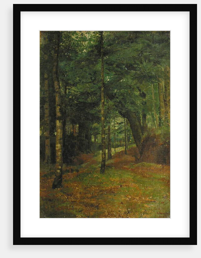 Study of sun shining through the trees, Concarneau by William Stott