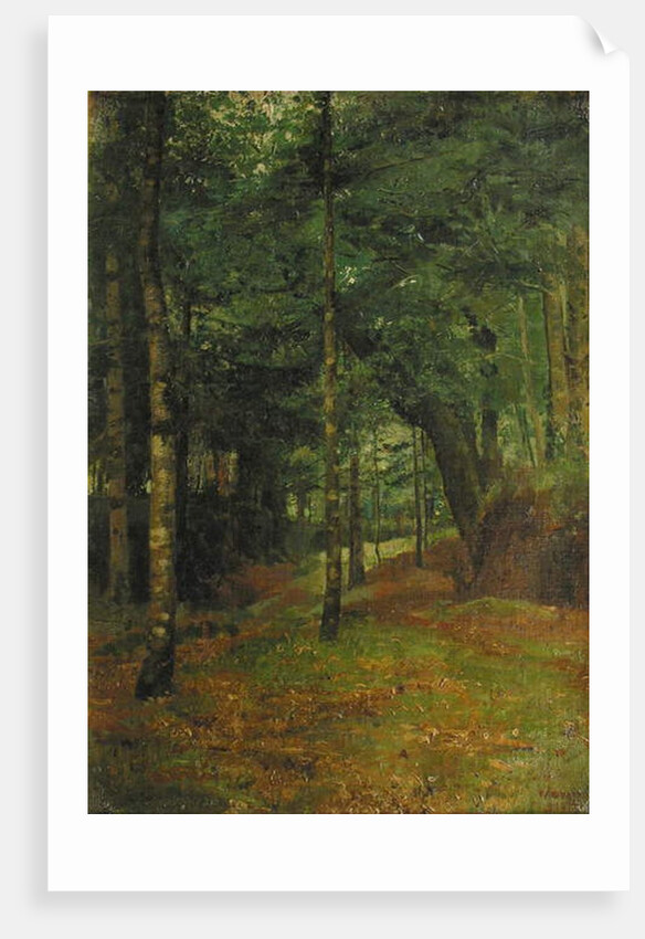 Study of sun shining through the trees, Concarneau by William Stott