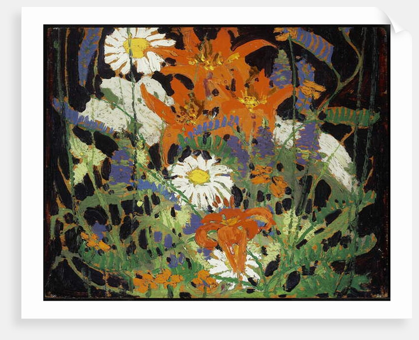 Marguerites, Wood Lilies and Vetch, c.1916 by Thomas John Thomson
