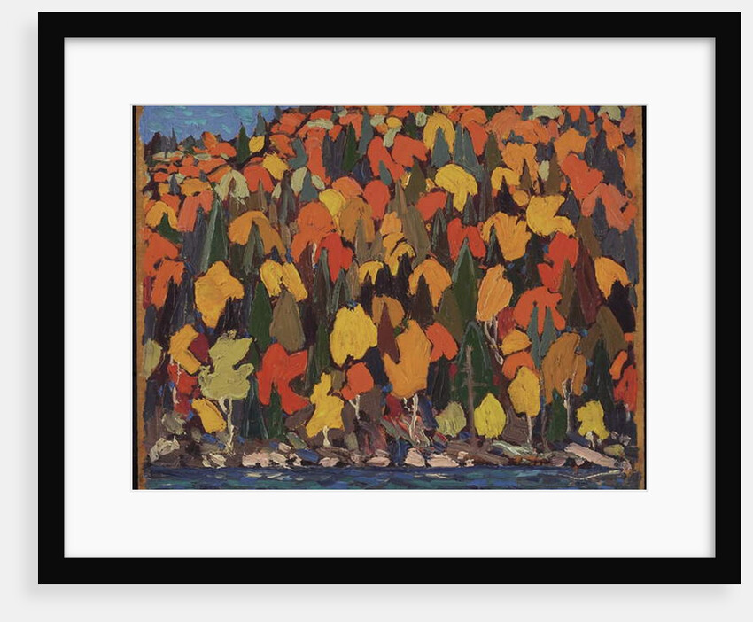 Autumn Foliage, Fall or Winter 1915 by Thomas John Thomson
