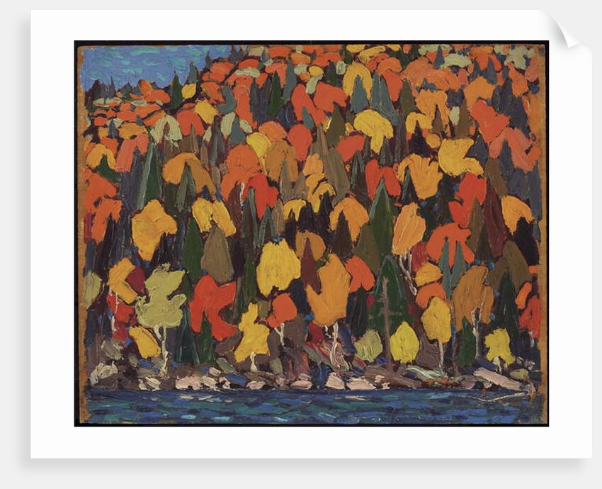 Autumn Foliage, Fall or Winter 1915 by Thomas John Thomson