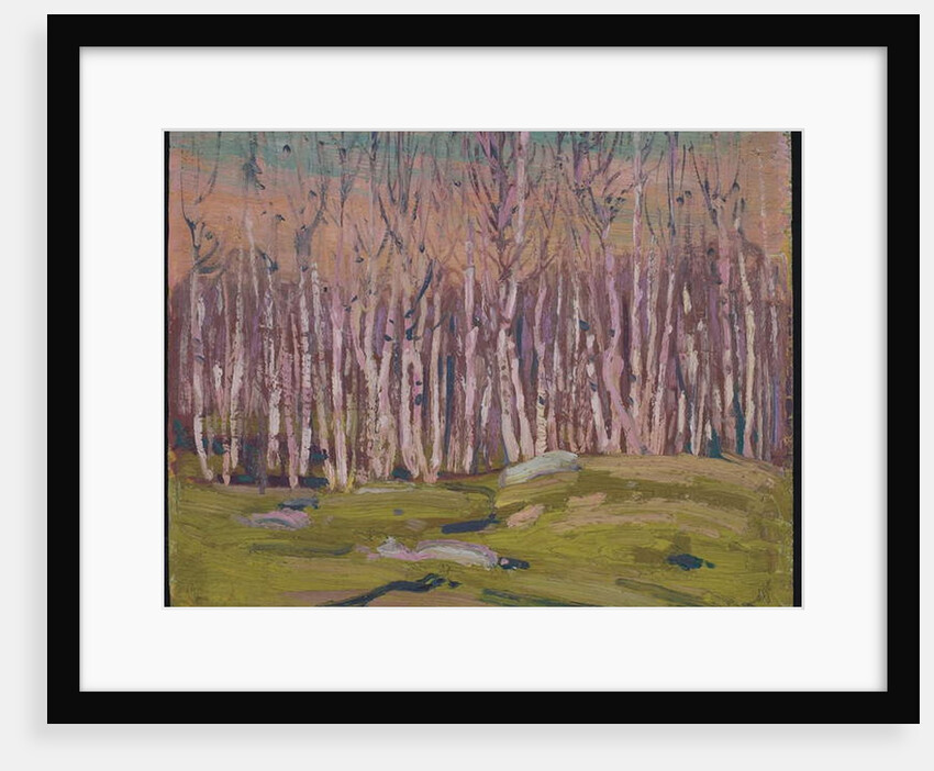 Silver Birches, c.1915 by Thomas John Thomson