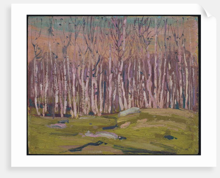 Silver Birches, c.1915 by Thomas John Thomson