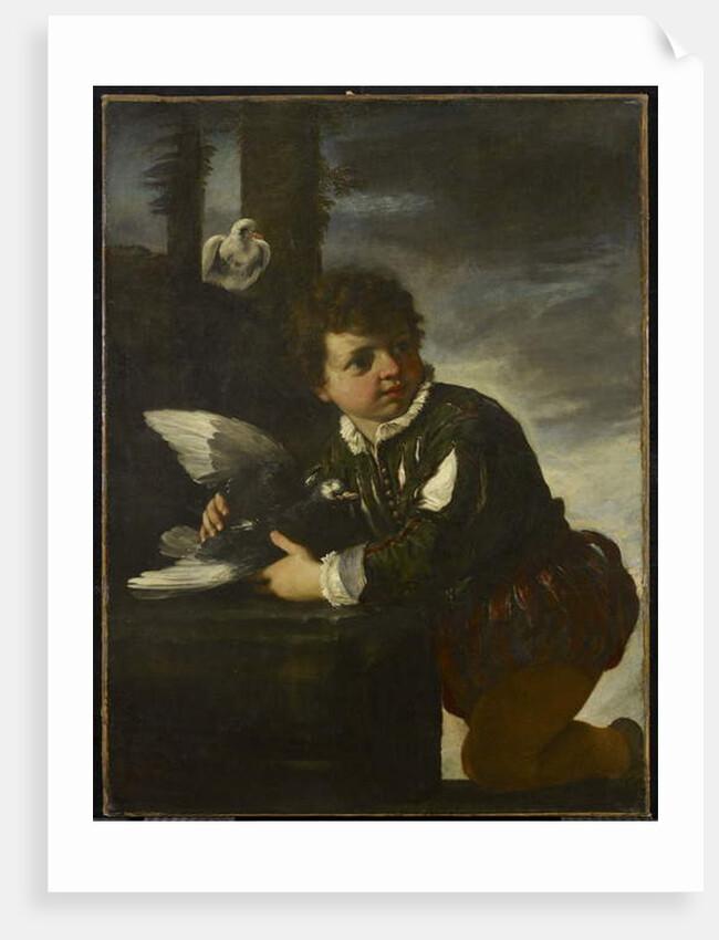 Boy with a Dove, c.1650-55 by Pier Francesco Mola