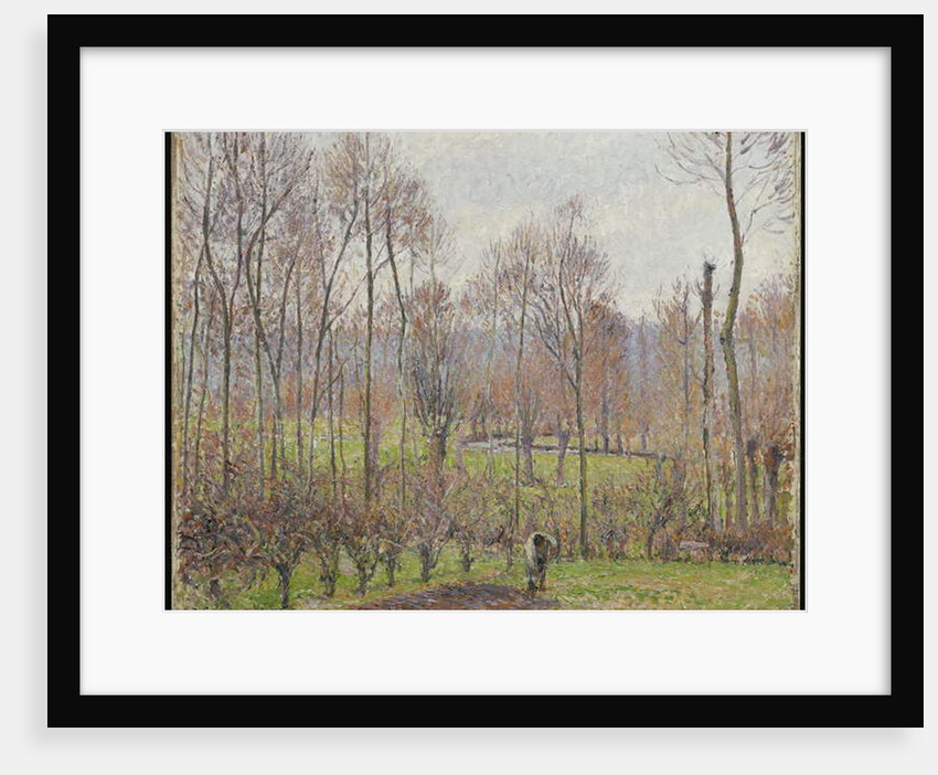 Poplars, Grey Weather, Eragny, 1895 by Camille Pissarro