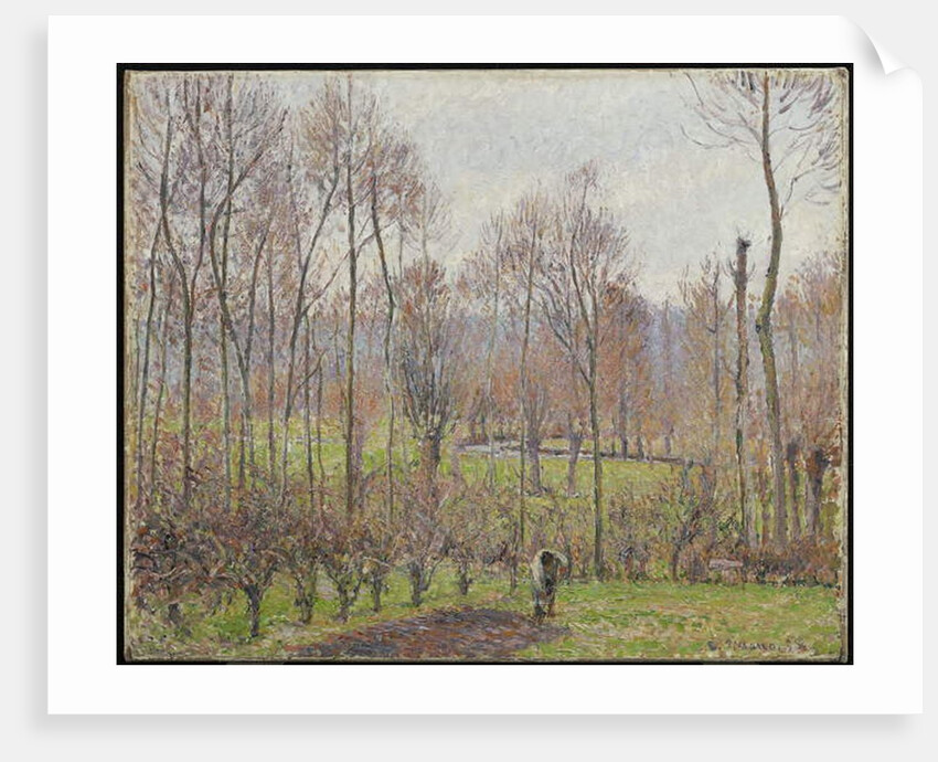 Poplars, Grey Weather, Eragny, 1895 by Camille Pissarro