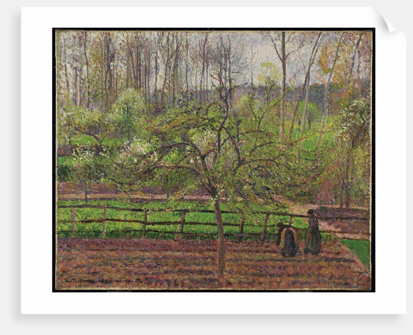 Springtime, Grey Weather, Eragny, 1895 by Camille Pissarro