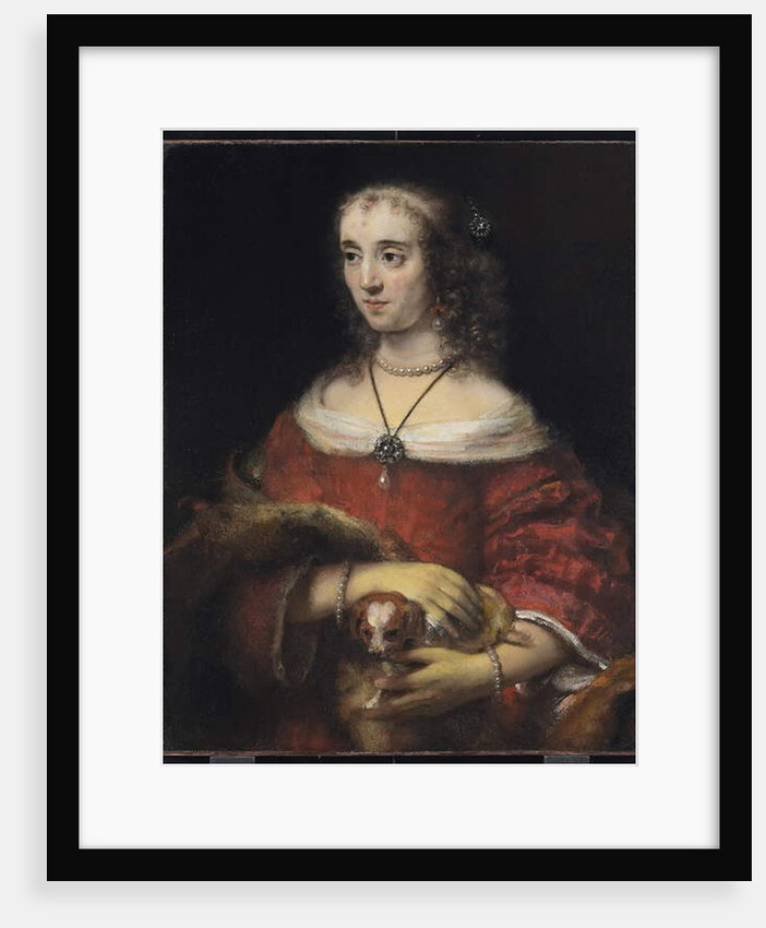 Portrait of a Lady with a Lap Dog, c.1665 by Rembrandt Harmensz. van Rijn