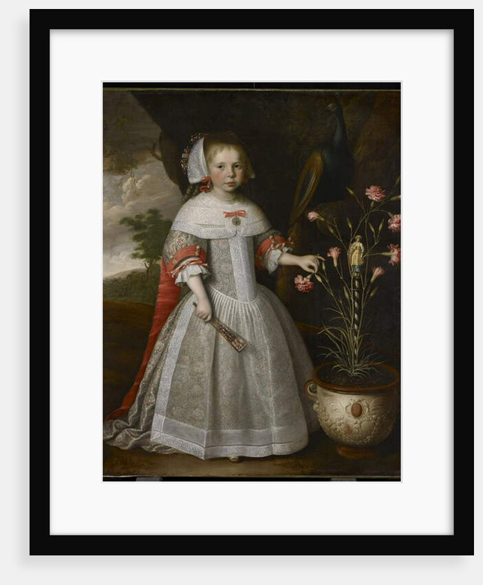 Portrait of a Young Girl with Carnations, c.1663 by Jan Albertsz Rotius