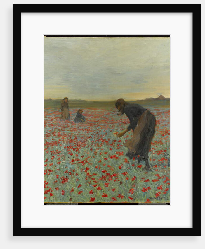 Girls in a Poppy Field, c.1896 by Edmund Montague Morris