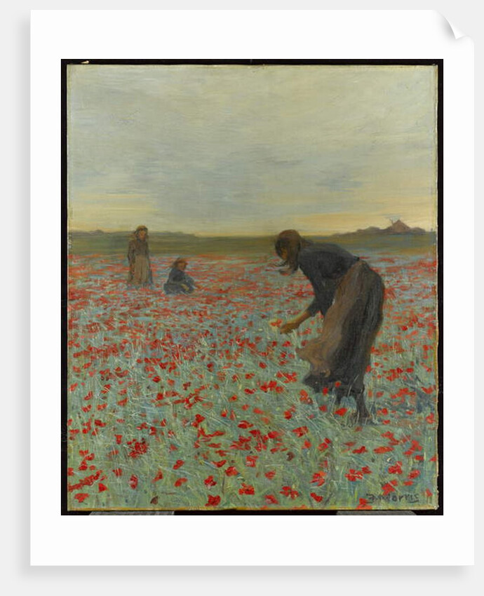 Girls in a Poppy Field, c.1896 by Edmund Montague Morris
