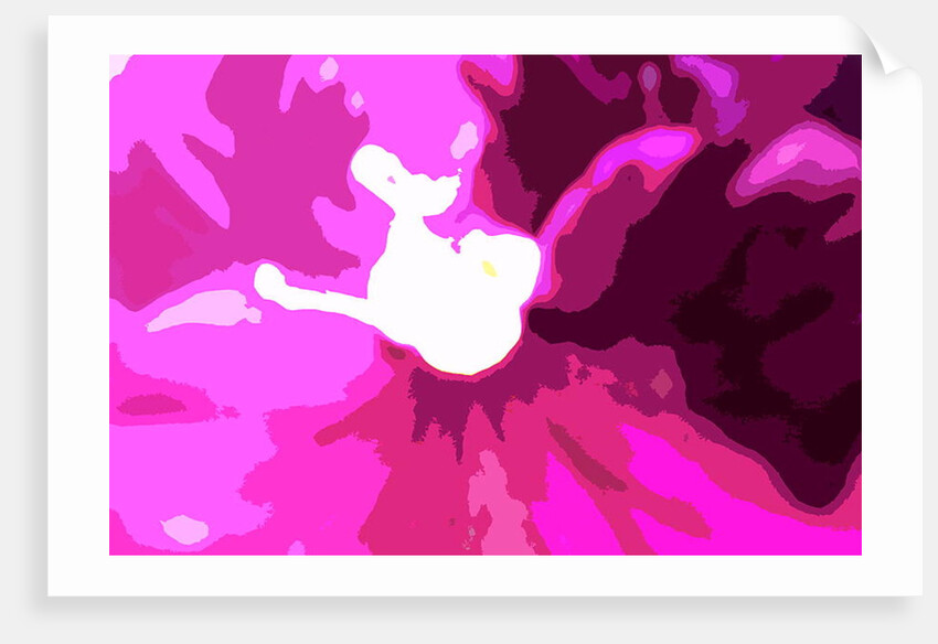 Raspberry Crush by Sarah O'Toole