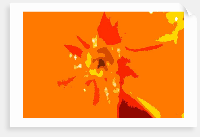 Sunshine Camouflage by Sarah O'Toole