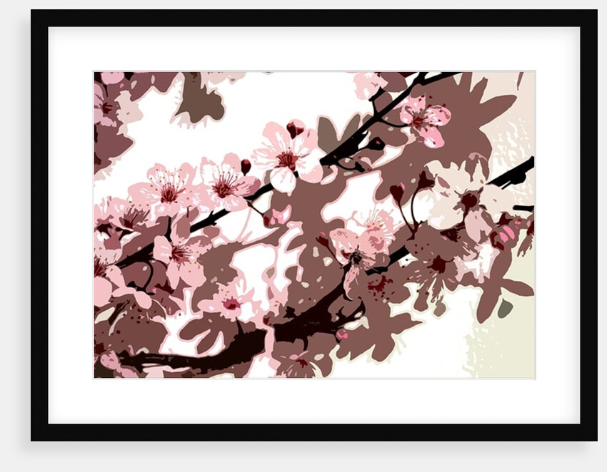Japanese Blossom by Sarah O'Toole