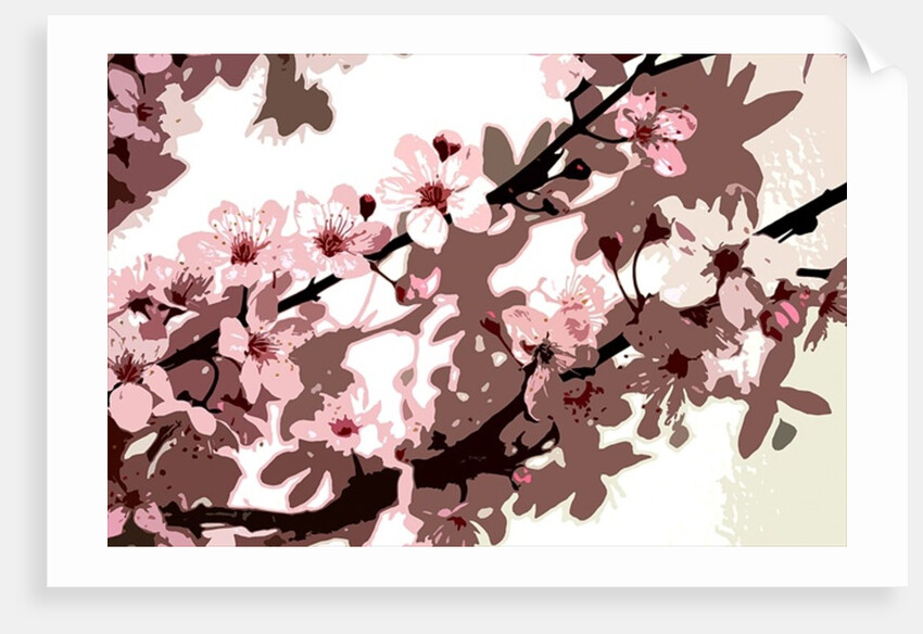 Japanese Blossom by Sarah O'Toole