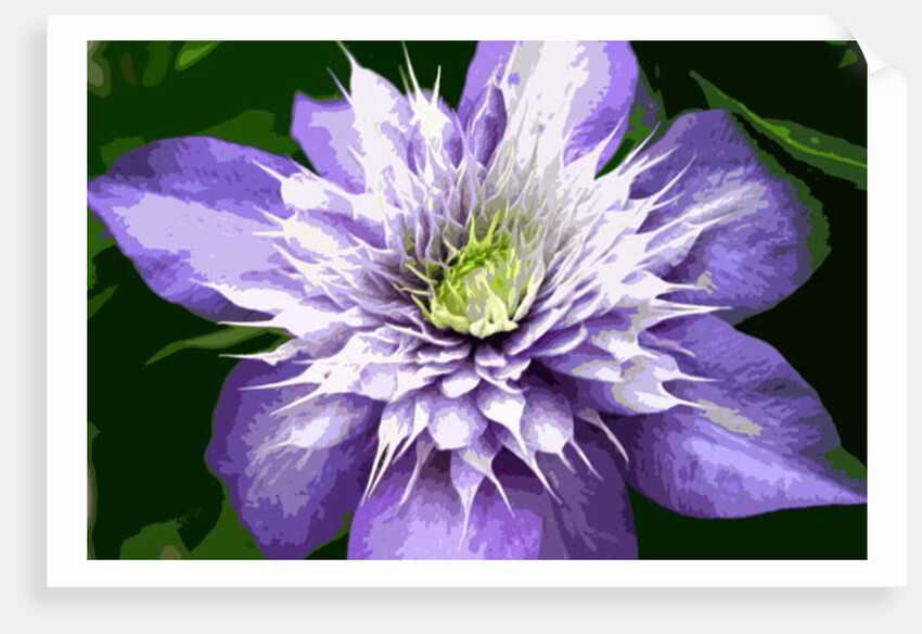 Ocean Bloom by Sarah O'Toole