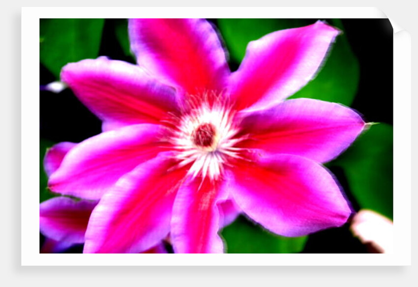 Winds of Change by Sarah O'Toole